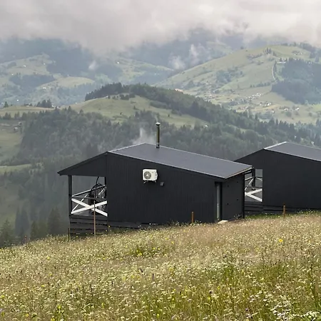 Afterglow Verkhovyna Holiday home Iltsi